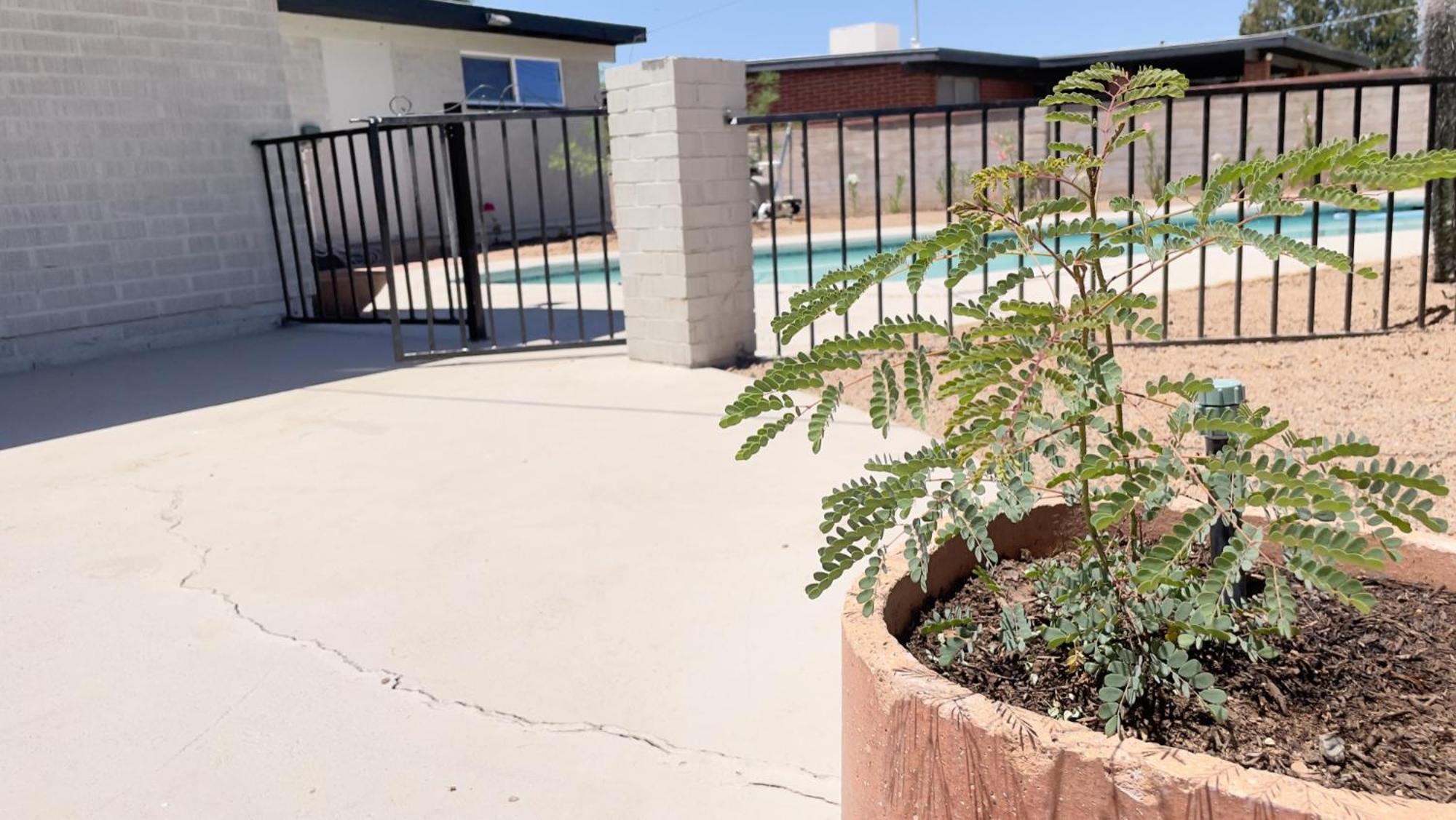 Private Home - Heated Pool, Billiards, Darts, Foosball, Fireplace, 5 Smart Tvs, Bbq, Cotton Bedding - The Saguaro Sanctuary, Pool Heat Optional Tucson Buitenkant foto